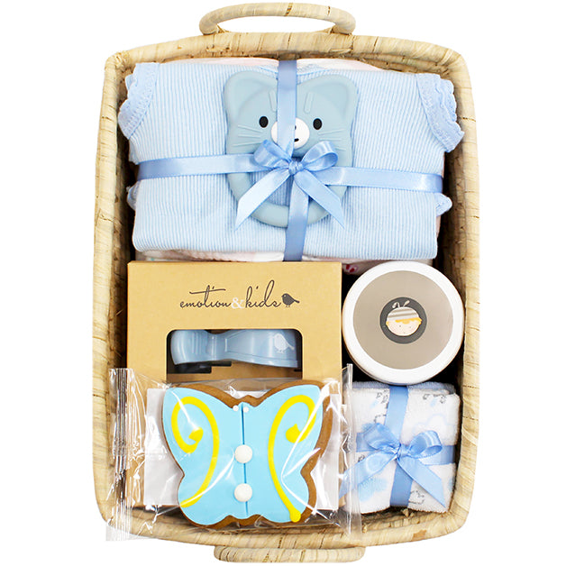 Baby Essentials Gift Basket