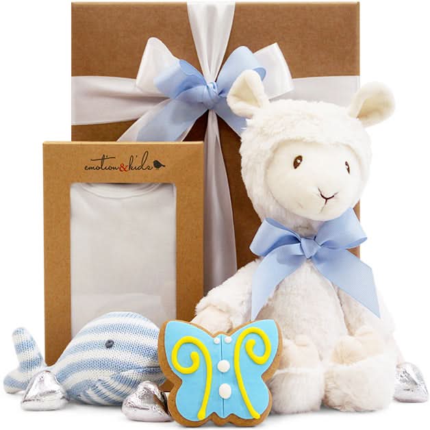 Baby Llama Gift Hamper