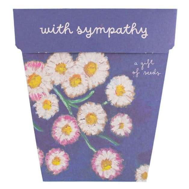 Sow 'n Sow "With Sympathy" seeds - Everlasting Daisy