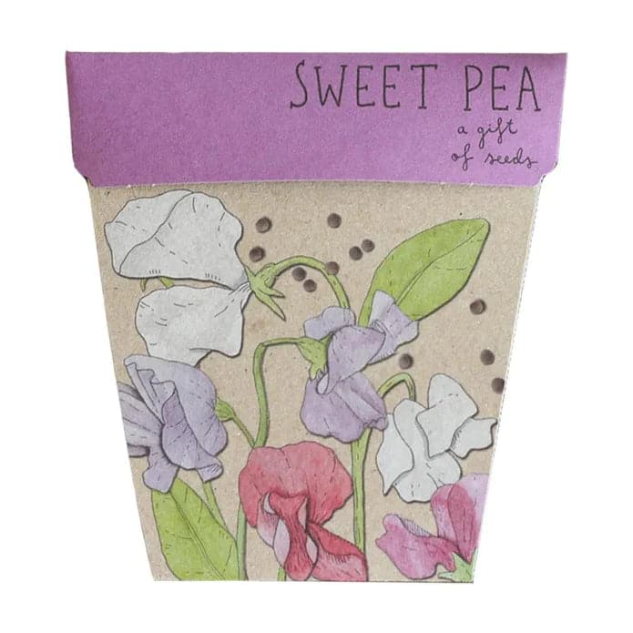 Sweet Pea Seeds Gift Pack