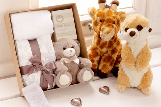 Newborn Baby Gift Baskets