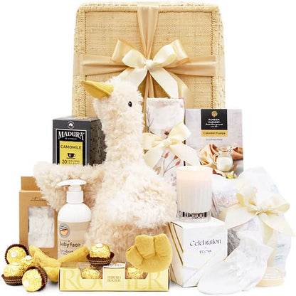 Newborn Delivery Gift Basket