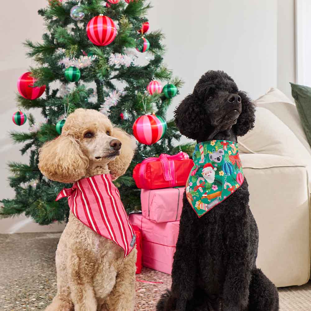 Hot dog Pet Bandana - Deck the Palms