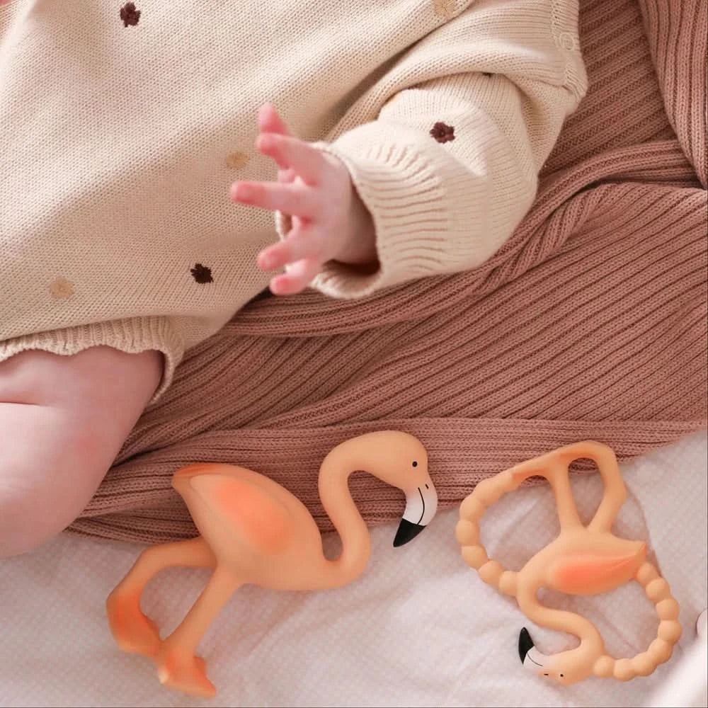 Lingo the Flamingo flock together Teething Set
