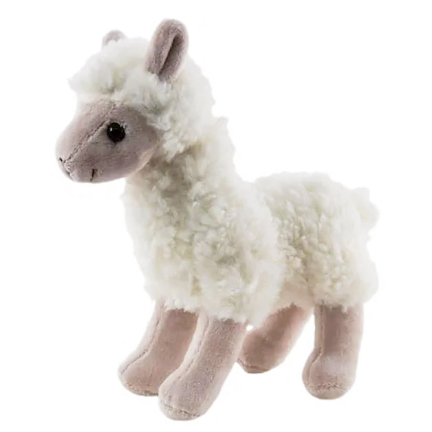 No Drama Llama Gift Hamper