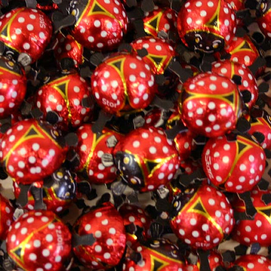 chocolate-ladybugs